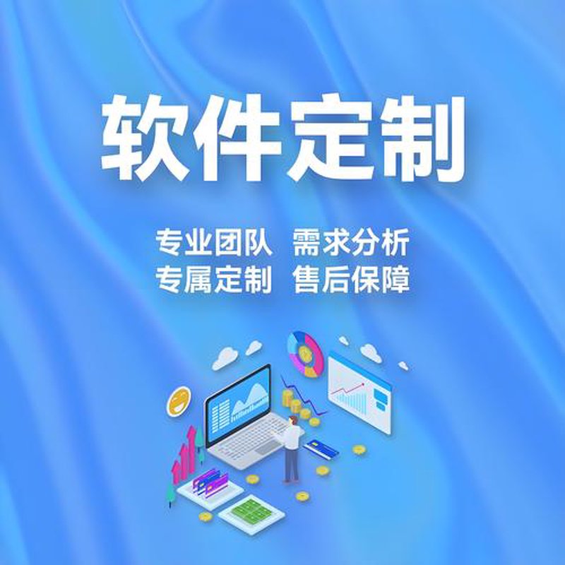 管理系统定制